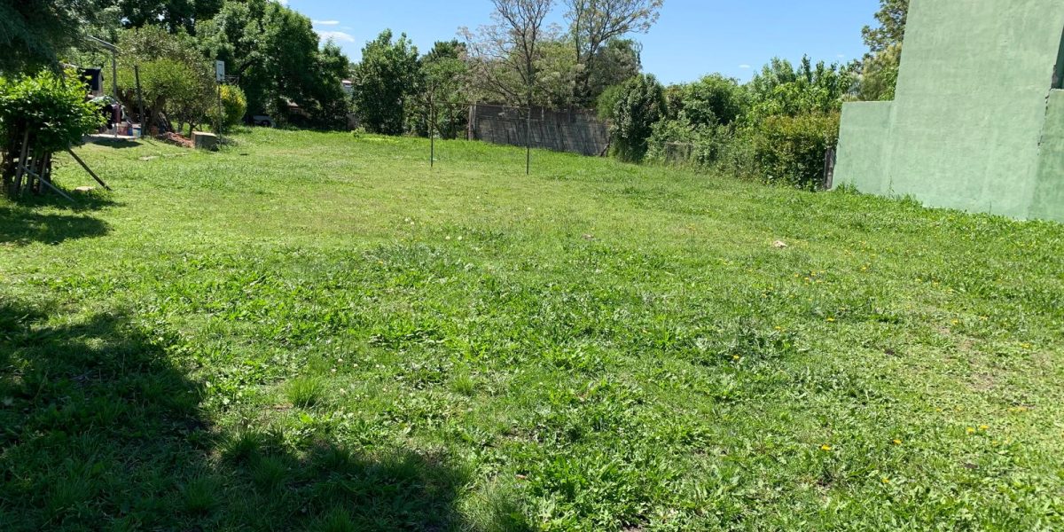 2e390167-4ee6-4048-aa00-920e366af321