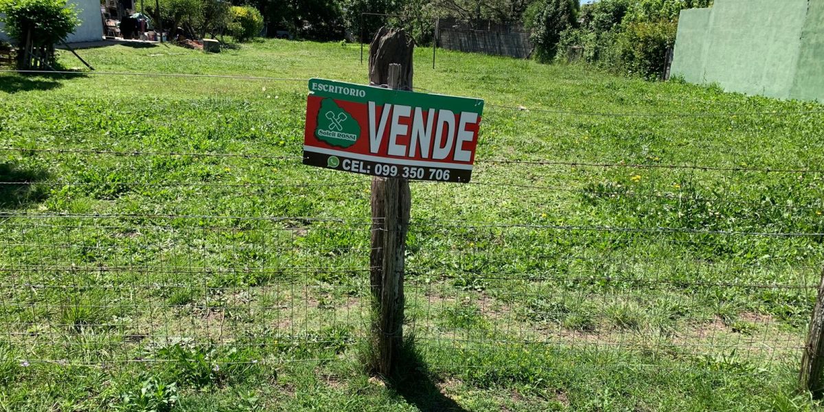 9aad6996-3279-4411-bbd9-de83282b9cbd