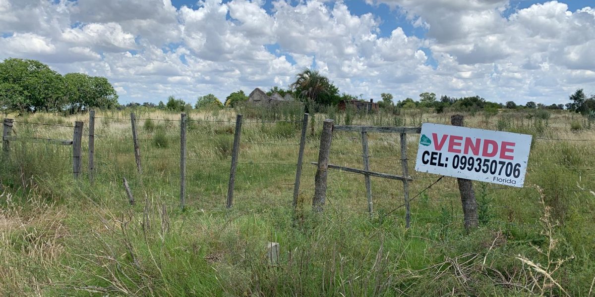 a6c4e6c8-24f5-43f4-b2b3-da9d2b660946