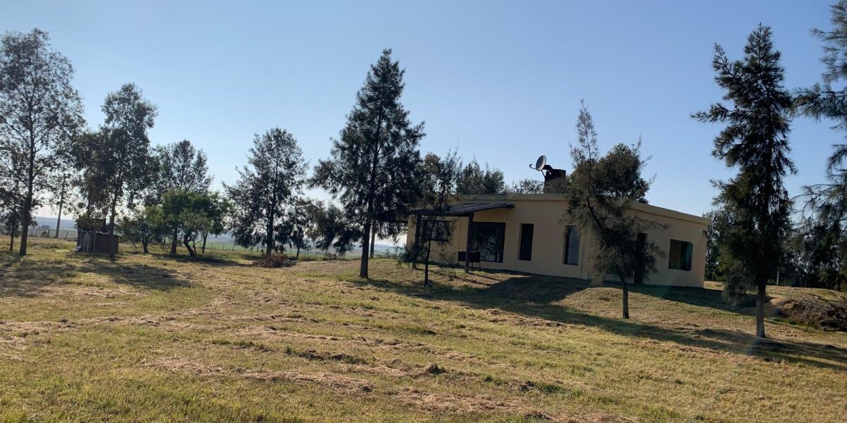 c20d2a10-85e1-46ef-8fc4-017e9857abf3