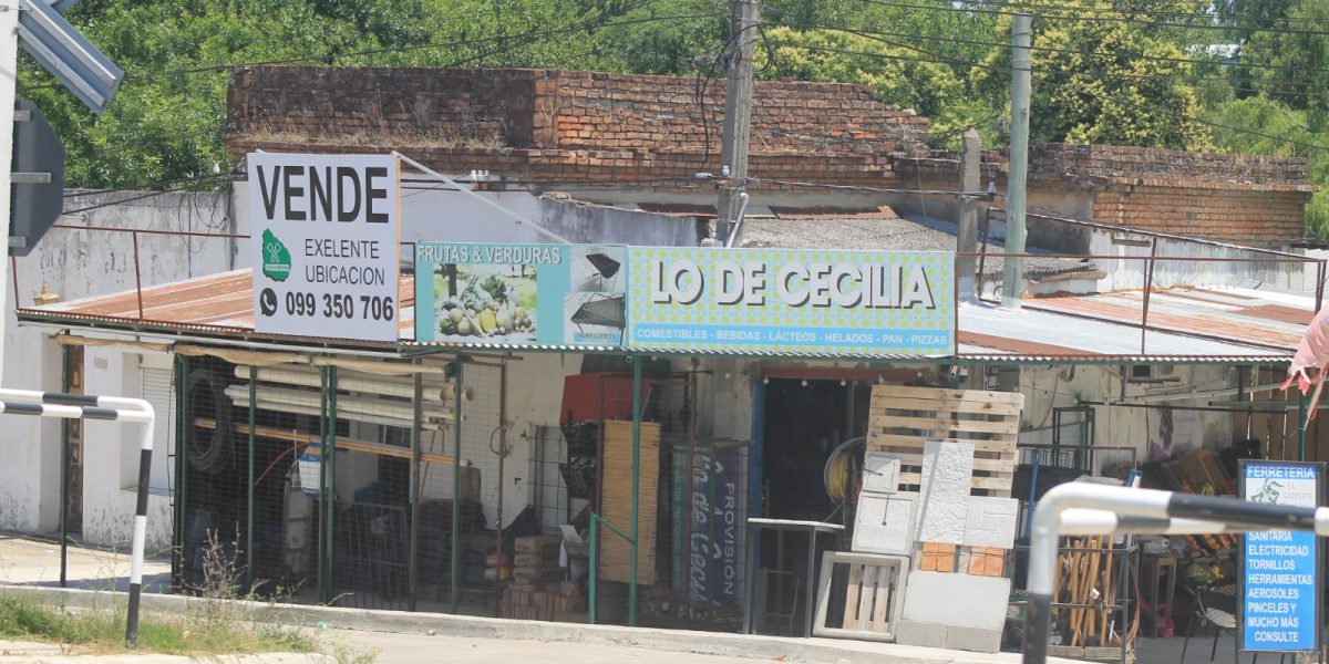 dd2248eb-ceb0-4ab1-8314-9c4bcaf016f4