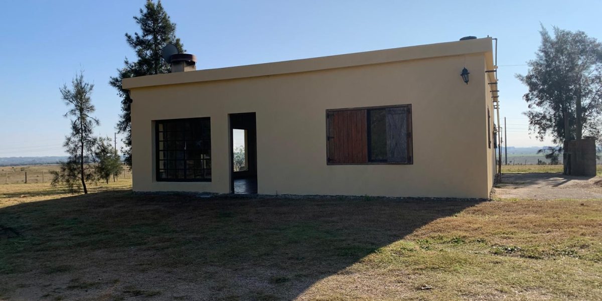 e7da24f2-c54f-42c0-9630-9e84897f95d4