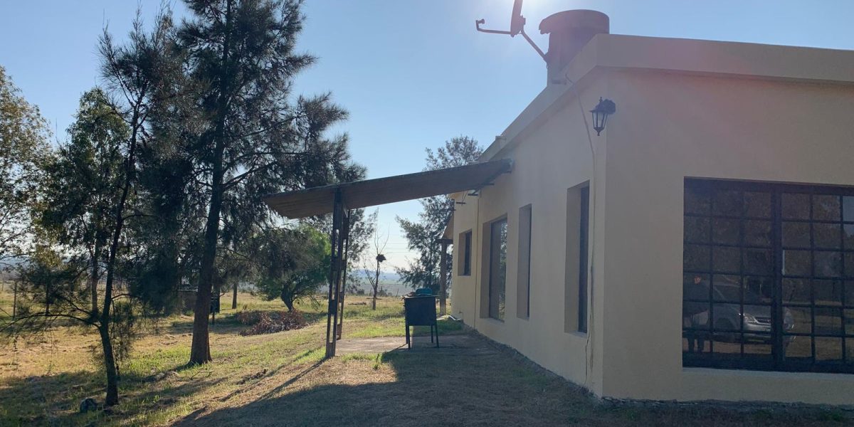 e89af983-a77e-4ee7-8fba-b0b80c23a97d